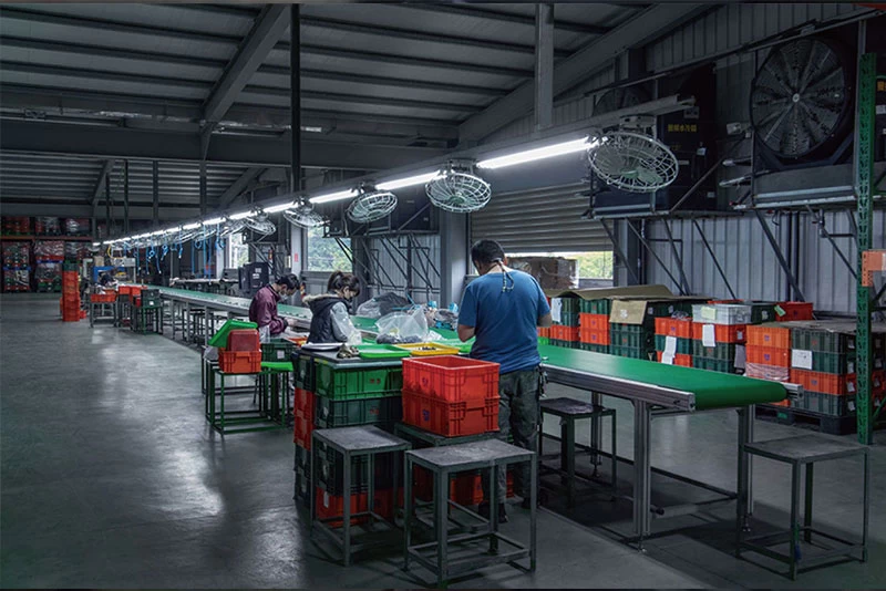 Ratchet Handle Assembly